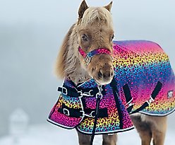 Star Point Horsemanship Rainbow Cheetah 220 G Hooded Horse Blanket, Rainbow Cheetah, 78 to 80-in