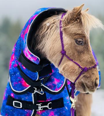 Show full view: Star Point Horsemanship Galaxy 300 G Heavyweight Waterproof Hooded Horse Blanket, Galaxy, 42 to 44-in slide 2 of 2
