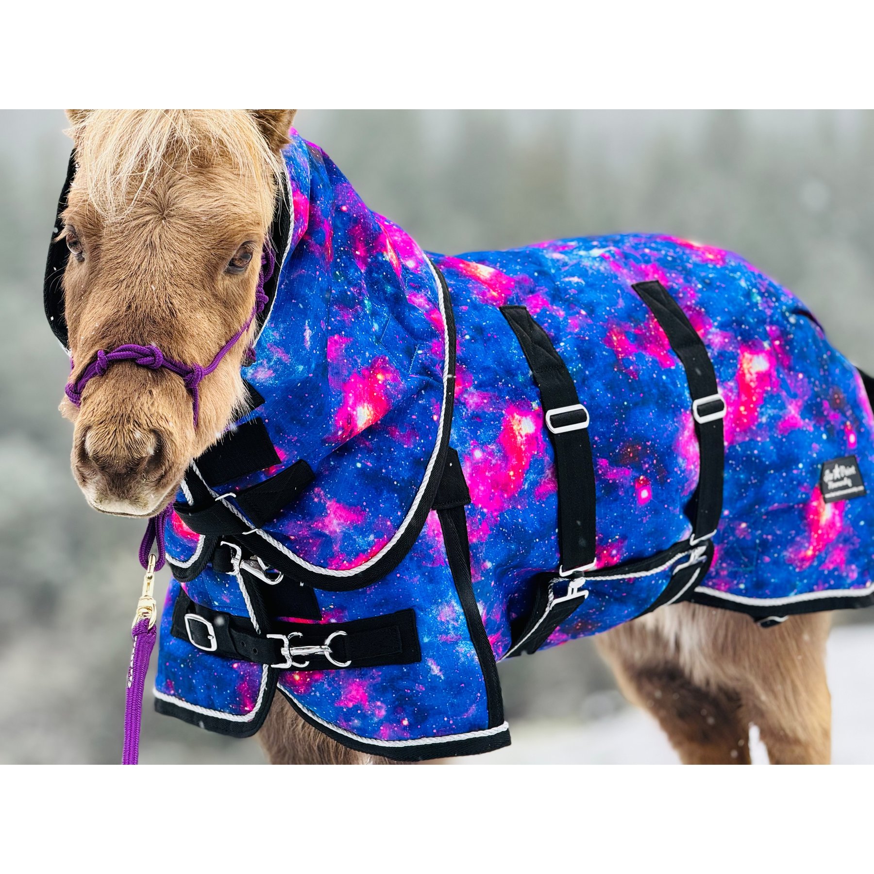 Star Point Horsemanship Galaxy 300 G Heavyweight Waterproof Hooded Horse Blanket, Galaxy, 50 to 52-in