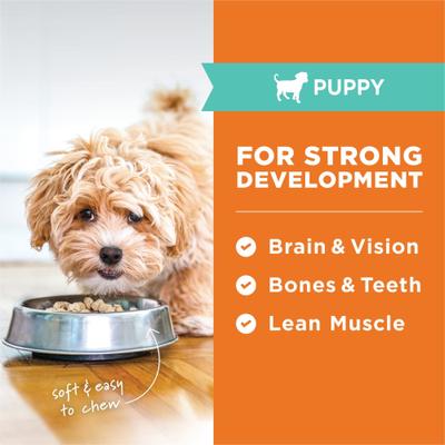 Show full view: Instinct Raw Meals Cage-Free Chicken Recipe Grain-Free Puppy Freeze-Dried Dog Food, 3-oz bag slide 5 of 11