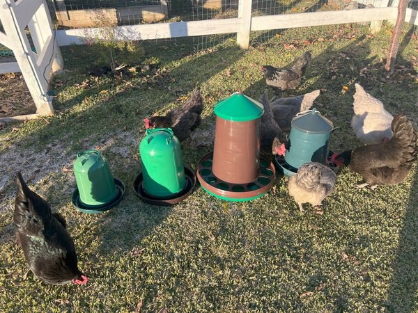 Zylina Eco Recycled Chicken Feeder