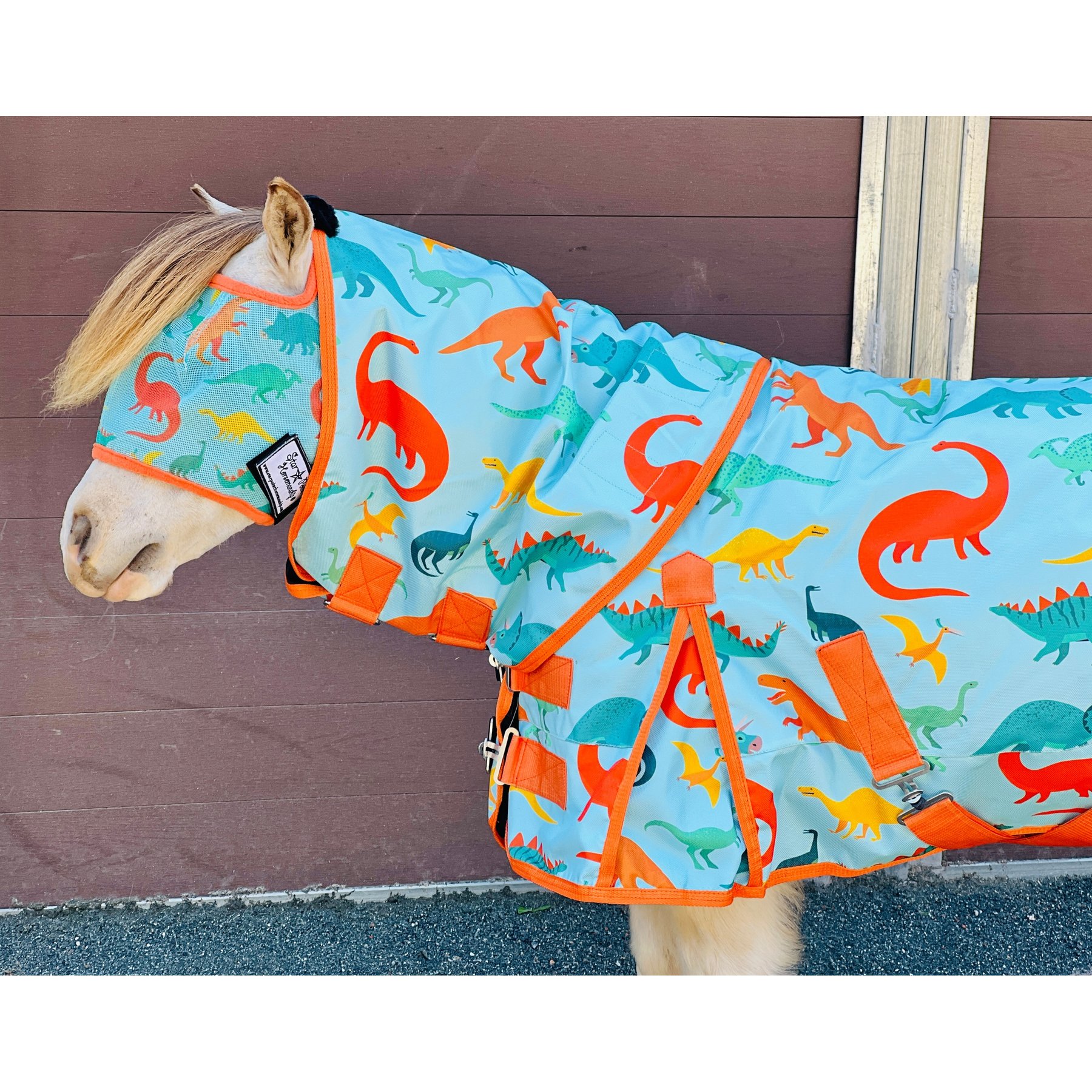 Star Point Horsemanship Blue Dinosaur 600 D Hooded No Fill Horse Sheet, Blue Dinosaur, 46 to 48-in
