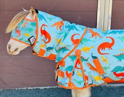 Star Point Horsemanship Blue Dinosaur 600 D Hooded No Fill Horse Sheet, Blue Dinosaur, 68 to 70-in