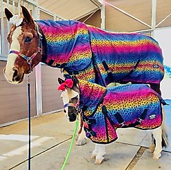 Star Point Horsemanship Rainbow Cheetah Hooded Horse Sheet, Rainbow Cheetah, 40 to 42-in