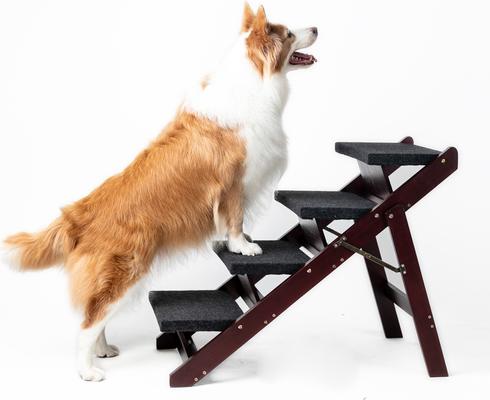 Show full view: Cesicia 2-in-1 Foldable Wooden Dog Ramp & Stairs, Wood, 4 step slide 4 of 7