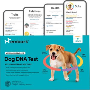 Embark Breed Identification & Health Condition Identification DNA Test for Dogs