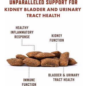 Rocco & Roxie Supply Co. Chicken Flavored Urinary Support Chew Supplement for Cats, 3.7-oz bag