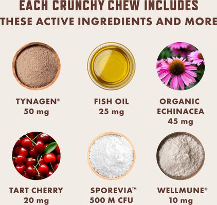 Show full view: Rocco & Roxie Supply Co. Chicken Flavored Allergy Chew Supplement for Cats, 3.7-oz bag slide 7 of 12