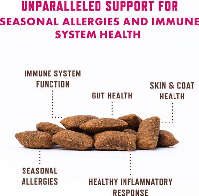 Show full view: Rocco & Roxie Supply Co. Chicken Flavored Allergy Chew Supplement for Cats, 3.7-oz bag slide 6 of 12