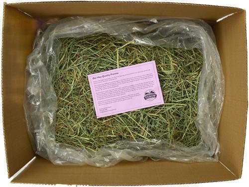 Show full view: Oxbow Animal Health Western Timothy Hay All Natural Hay for Rabbits, Guinea Pigs, Chinchillas, Hamsters & Gerbils, 40-lb bag Bulk Size slide 4 of 12
