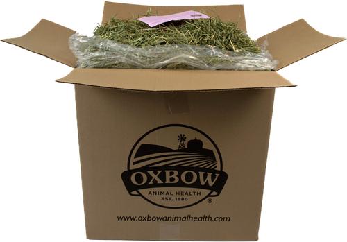 Show full view: Oxbow Animal Health Western Timothy Hay All Natural Hay for Rabbits, Guinea Pigs, Chinchillas, Hamsters & Gerbils, 40-lb bag Bulk Size slide 3 of 12