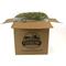 Show in main carousel: Oxbow Orchard Grass Hay Small Animal Food, 20-lb bag slide 4 of 12