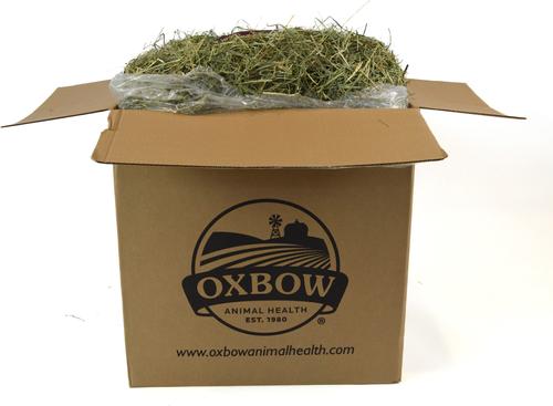 Show full view: Oxbow Orchard Grass Hay Small Animal Food, 20-lb bag slide 4 of 12