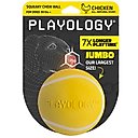 Playology Chicken Scented Squeaky Chew Ball Dog Toy, Jumbo