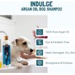Bio-Groom Indulge Sulfate-Free Argan Oil Dog Shampoo