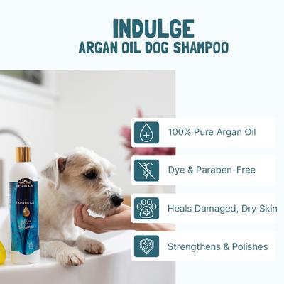 Show full view: Bio-Groom Indulge Sulfate-Free Argan Oil Dog Shampoo, 5-gal pail slide 3 of 6