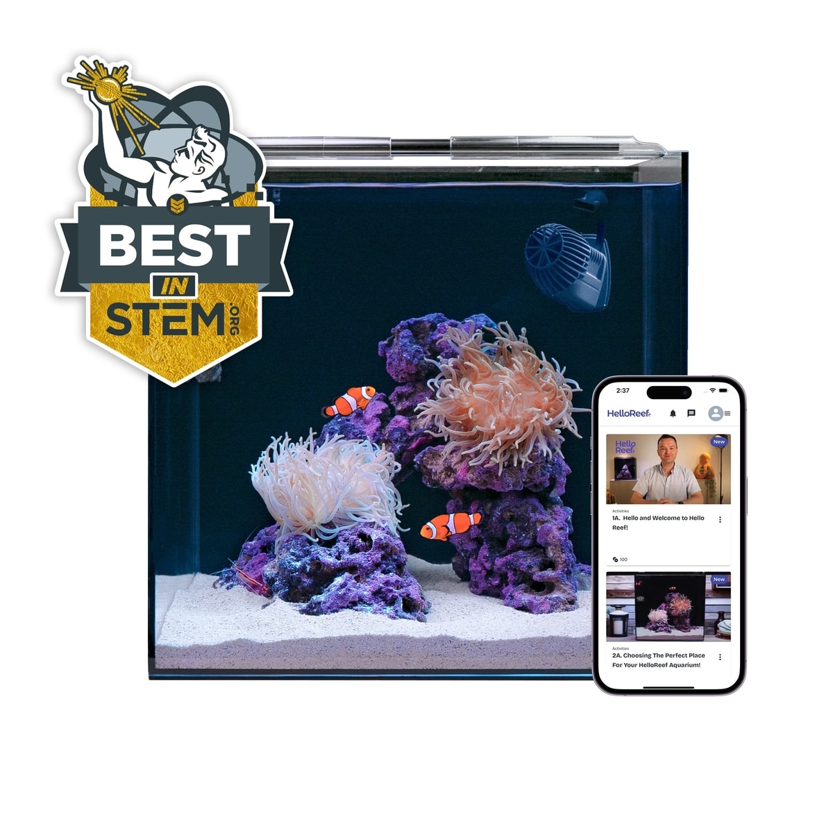 HELLOREEF Clownfish & Anemone Saltwater Aquarium Starter Kit, 15-gal ...