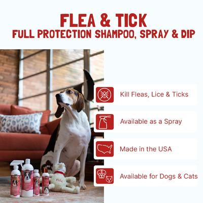 Show full view: Bio-Groom Flea & Tick Dog Shampoo, 1-gal bottle slide 2 of 4