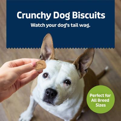 Show full view: Blue Buffalo Health Bars Apple & Yogurt Mini Dog Treats, 1-lb bag slide 5 of 11