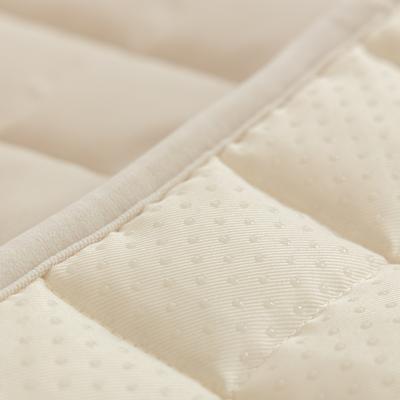 Show full view: Allisandro Washable & Waterproof Anti-Slip Velvet Dog Couch Cover, Beige, 24 x 73-in slide 6 of 7