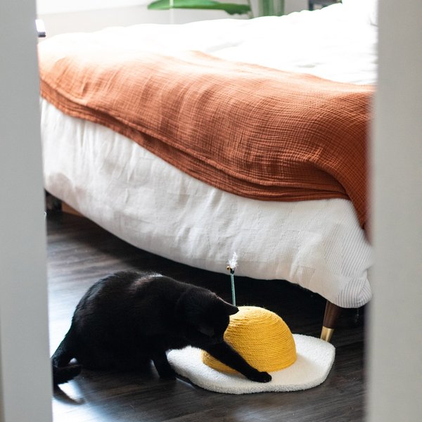 HAPPY & POLLY Egg Series Sisal Cat Scratcher Toy, Yellow, Large - Chewy.com