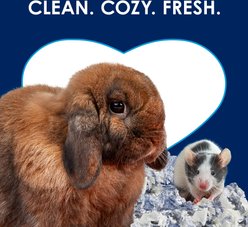 Kaytee Clean & Cozy Extreme Odor Control Small Animal Bedding, 65-L slide 2 of 8