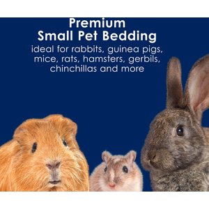 Kaytee Clean & Cozy Extreme Odor Control Small Animal Bedding, 65-L