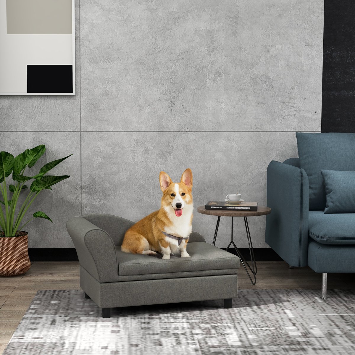 Zeus & Ruta Elevated Dog Bed with Hidden Storage, Gray, 30 x 17.75 x 16.25-in