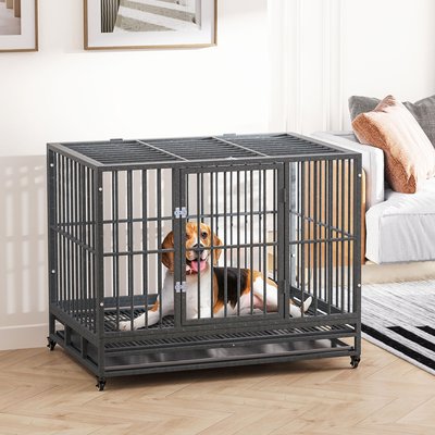 jansno jansno Heavy Duty Double Door Metal Dog Crate & Kennel with Lockable Wheels & Removable Tray, Gray, 43 inch