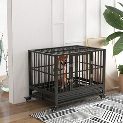 jansno Heavy Duty Double Door Metal Dog Crate & Kennel with Lockable Wheels & Removable Tray, Gray, 36 inch