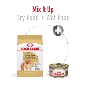 Royal Canin Breed Health Nutrition Pomeranian Adult Dry Dog Food, 2.5-lb bag