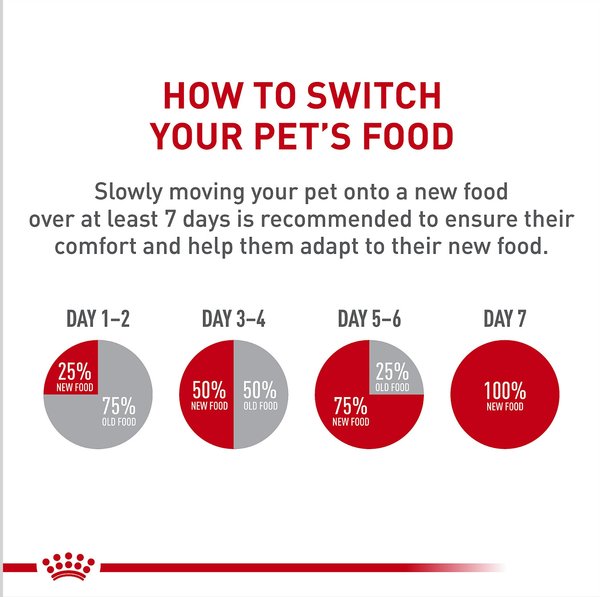 Show full view: Royal Canin Breed Health Nutrition Chihuahua Adult Loaf In Sauce Dog Food, 3-oz can, case of 6 slide 10 of 13