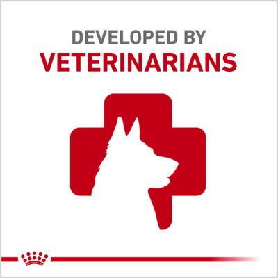 Show full view: Royal Canin Canine Health Nutrition Beauty Loaf in Sauce Wet Dog Food, 5.2-oz can, case of 24 slide 6 of 11