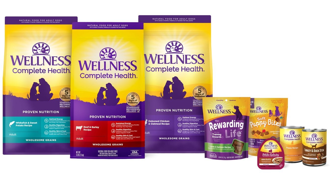 WELLNESS Belly Digestive Health Support Pumpkin Flavor Chew Supplements