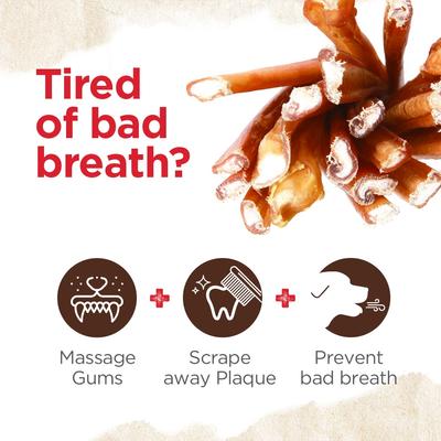 Show full view: Natural Farm 6-inch Thin Bully Sticks Dog Treats, 25 count slide 4 of 7