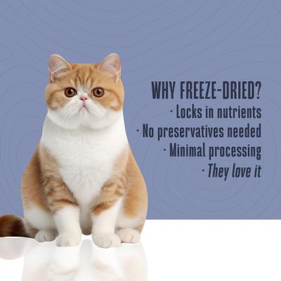 Show full view: Whole Life Just One Ingredient Turkey Grain-Free Freeze-Dried Cat Treats, 1.2-oz bag slide 6 of 11