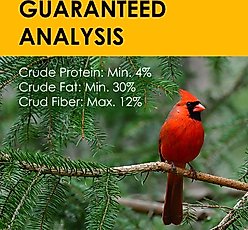 Heath Bird's Blend Suet Cake Wild Bird Food, 3 count slide 2 of 5