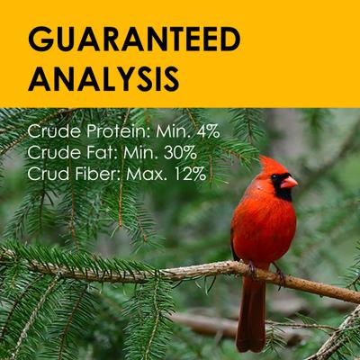 Show full view: Heath Bird's Blend Suet Cake Wild Bird Food, 3 count slide 4 of 6