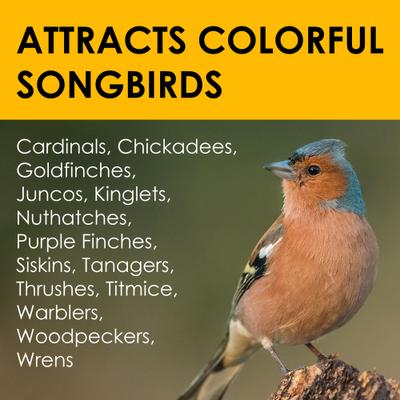 Show full view: Heath Bird's Blend Suet Cake Wild Bird Food, 3 count slide 2 of 6