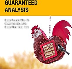 Heath Berry Blast Suet Cake Wild Bird Food, 3 count slide 2 of 4