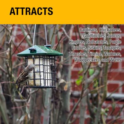 Show full view: Heath Berry Blast Suet Cake Wild Bird Food, 3 count slide 2 of 5