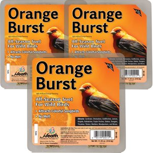 Heath Orange Burst Suet Cake Wild Bird Food, 3 count