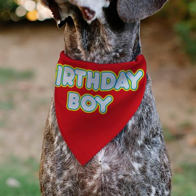 Show full view: Buckle-Down Birthday Boy Text Dog Bandana, Red slide 5 of 7