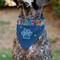 Show in main carousel: Buckle-Down Birthday Boy Text Paw & Confetti Dog Bandana slide 4 of 7