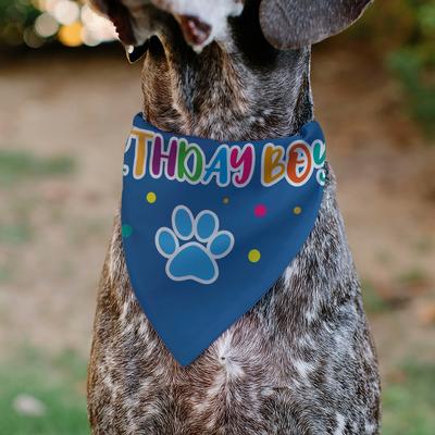 Show full view: Buckle-Down Birthday Boy Text Paw & Confetti Dog Bandana slide 4 of 7