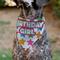 Show in main carousel: Buckle-Down Birthday Girl Text & Stars Dog Bandana slide 4 of 6