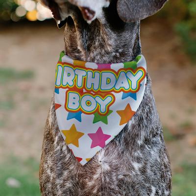 Show full view: Buckle-Down Birthday Boy Text & Stars Dog Bandana slide 4 of 6