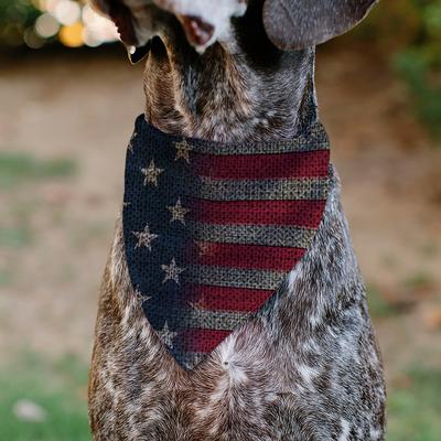 Show full view: Buckle-Down Vintage US Flag Stretch Dog Bandana slide 4 of 6