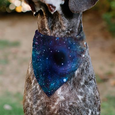 Show full view: Buckle-Down Galaxy Dog Bandana, Multicolor slide 6 of 7