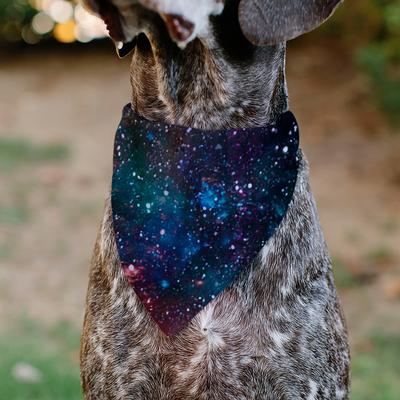 Show full view: Buckle-Down Galaxy Dog Bandana, Multicolor slide 5 of 7